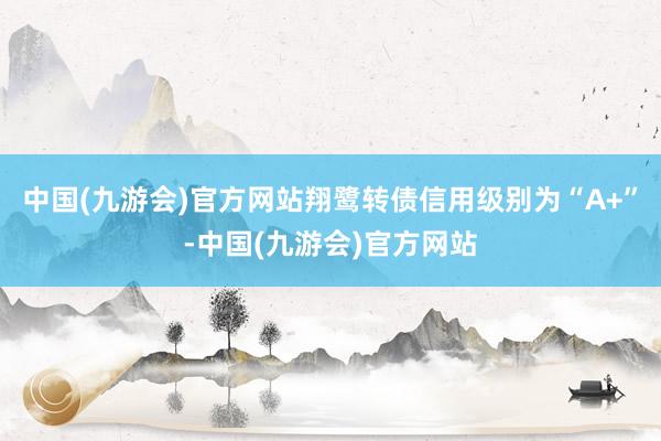 中国(九游会)官方网站翔鹭转债信用级别为“A+”-中国(九游会)官方网站